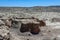 Petroglyphs on Volcanic Tuff