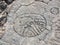 Petroglyphs at Waikoloa Petroglyph Reserve in Hawaii.