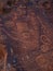Petroglyphs at Wet Beaver Creek, Arizona