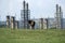 Petroleum refinery in romania, with horse on green meadow