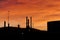 Petroleum refinery sunset