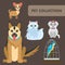 Pets, Animals Flat Vector Color Characters Set