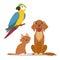 Pets - cat, labrador dog and ara, macaw parrot