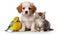Pets - Cute Puppy, Tiny Sweet Kitten, and Little Parrot Together on a White Background - Generative Ai