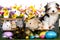 Pets with easter eggs on white background