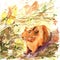 Pets, guinea pig. Drawing with watercolor for the design of the background, print, banner, advertising, ads