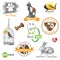 Pets icons