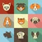 Pets icons - cats and dogs elements
