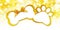 pets store gift card with bone and paw imprint shape golden ribbon bow on blurred christmas lights background blank template and