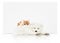 pets store signboard with cat and dog together on white background blank template and copy space
