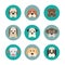 Pets vector icons - dogs elements