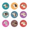 Pets vector icons - dogs elements
