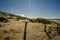 Pette, the Netherlands - April 2, 2021. The beach entrance and the dunes of the beach of Petten aan Zee.