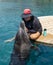 Petting a Dolphin in Eilat, Israel