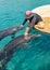 Petting Dolphins in Eilat, Israel