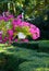 Petunia flowers in pots hanging