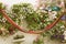 Petunia flowers on the wall on hanging containers with colorful hammock