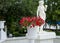 Petunia in a white flowerpot at the statue