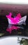 Petunias Flowers With Small Paper Boat, Reflection Water.