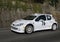 Peugeot 206 rallye race car during the race.