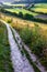 Pewley Down Hilly grassland nature reserve Guildford Surrey England