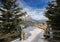 Peyto Lake viewpoint with Canadian Rocky Mountain in Alberta, Canada