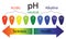 PH level scale showing sickness and health in human body