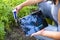 PH meter tester in soil. Measure soil with digital device and tablet. Woman farmer in a garden