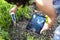 PH meter tester in soil. Measure soil with digital device and tablet. Woman farmer in a garden