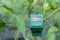 Ph meter, wet and luminosity sensor modern gardening and farming concept