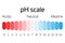 PH scale. Indicator of pH value expressing rate of acidity or basicity in chemistry