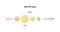 Ph scale infographic. Vector flat healthcare illustration. Acidic to alkaline meter with focus on perfect skin ph. Skin care.