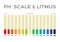 Ph scale vector graphic . acid to base / litmus