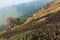 Pha-Ngam Noi: Twin Granite Rock Outcrop with green and purple plants with moving cloud in the background at Kew Mae Pan.