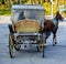 Phaeton. Horse carriage