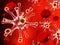 Phagocytes attack virus in blood