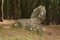 Phallic Rock on Molokai