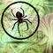 Phantasy image Crusader spider in his cobweb on fractal background