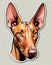 pharaoh hound dog sticker decal alert protector
