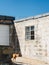 A pharaoh hound peeks out from behind a low wall on a bright sun