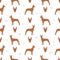 Pharaoh hound seamless pattern. Different poses, coat colors set