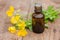 pharmaceutical bottle of medicine from Yellow flowers of Chelidonium majus, celandine, nipplewort, swallowwort or tetterwort on a