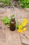 pharmaceutical bottle of medicine from Yellow flowers of Chelidonium majus, celandine, nipplewort, swallowwort or tetterwort on a