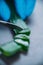 Pharmacist Cutting Aloe for Beauty Cream