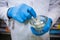 Pharmacist grinding medicine with mortar and pestle