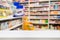 Pharmacy drug store interior blurred background with medicine