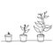 Phase of plant growing continuous one line drawing minimalist vector illustration from seed, root, and leaves