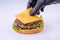 phased assembly of a hamburger on a light background9