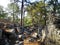 Phaselis antic town. Ruins of ancient Phaselis, Turkey.