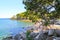 Phaselis invites tourists to enjoy swimming under pine trees on its coasts located right next to historic artifacts. Antalya-Turk